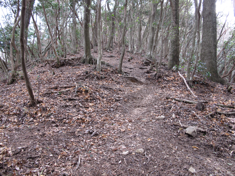 20140102hike (209)